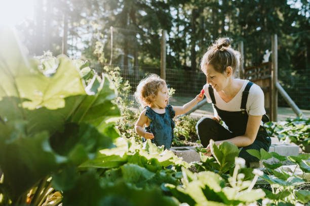  Home Garden